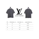 Louis Vuitton LV 25ss counter same style terry fleece round neck short-sleeved T-shirt Grey