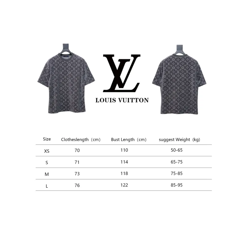 Louis Vuitton LV 25ss counter same style terry fleece round neck short-sleeved T-shirt Grey