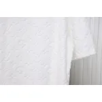 Louis Vuitton LV 25ss counter same style terry fleece round neck short-sleeved T-shirt White