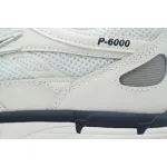 Nike P-6000 Phantom Obsidian Beige CD6404-018