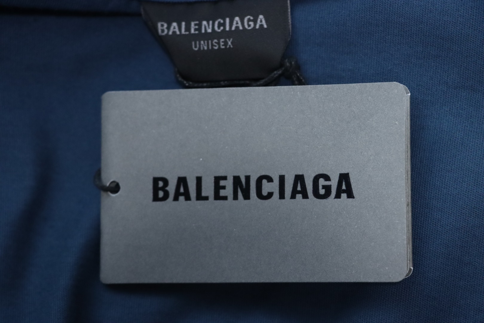 Balenciaga 25ss Wheat Ear Double B Embroidery Washed T-shirt Blue