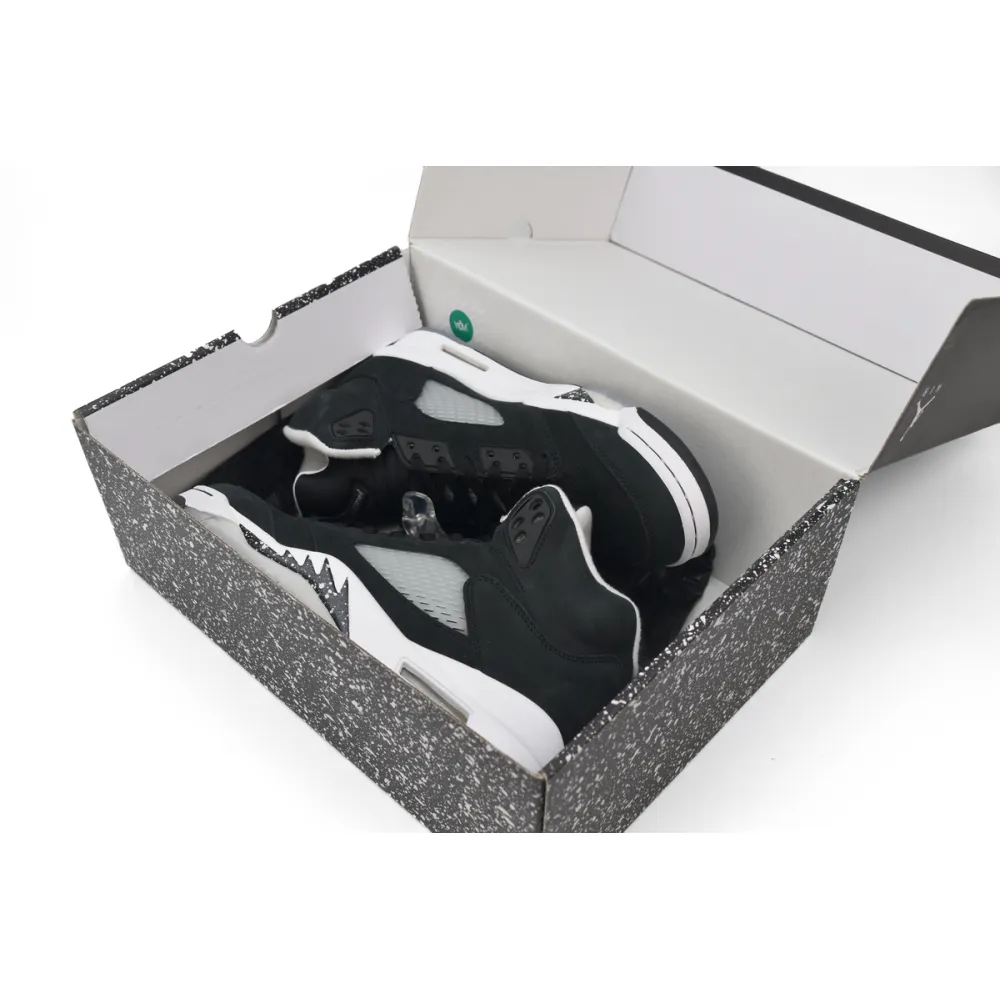 Air Jordan 5 Retro Moonlight CT4838-011