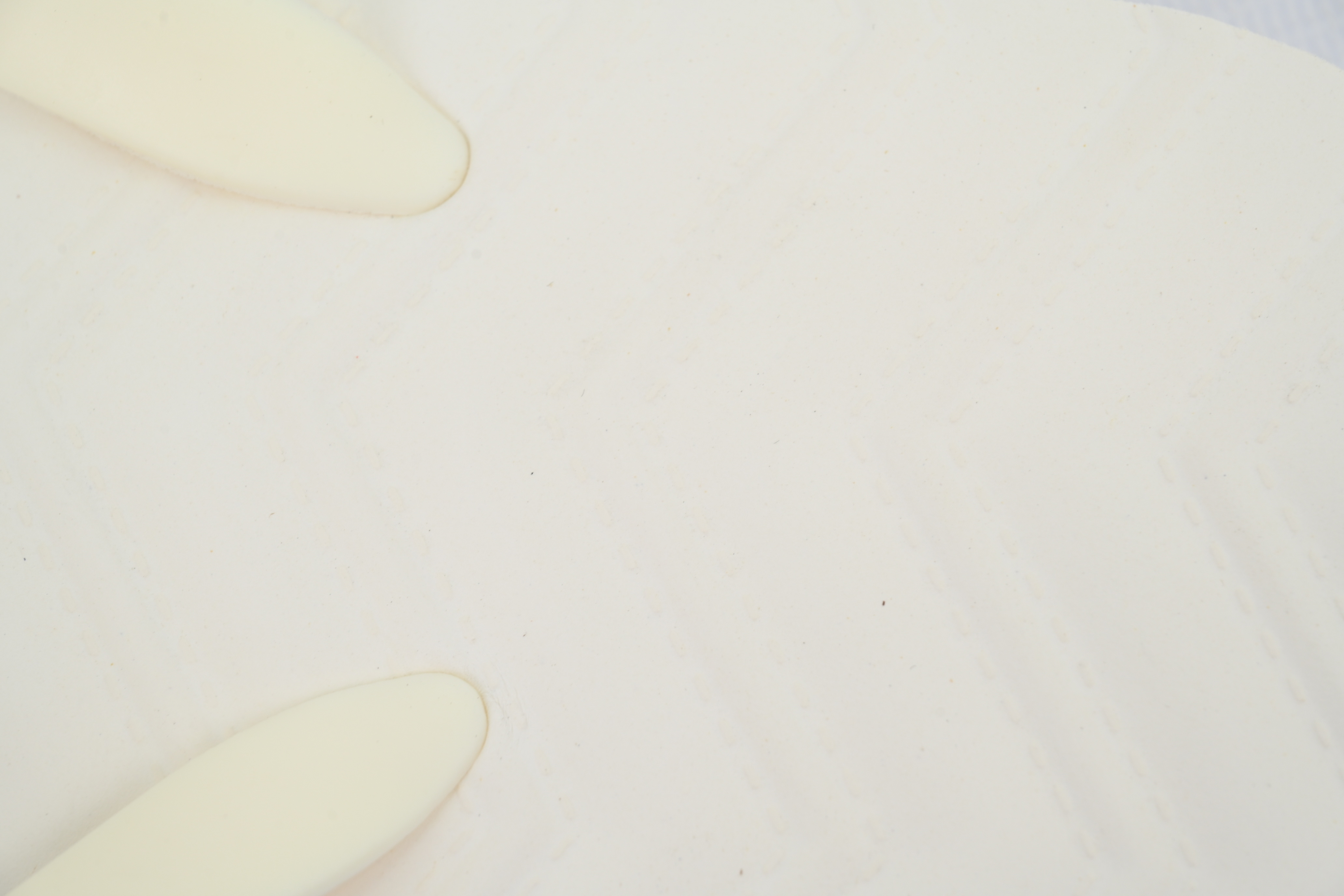 Gucci Flip Flops All White