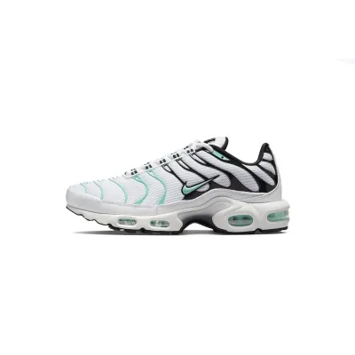 Nike Air Max Plus atmos White Hyper Jade 604133-148 01