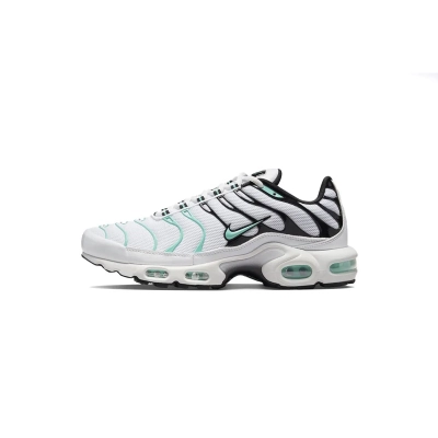 Nike Air Max Plus atmos White Hyper Jade 604133-148 01