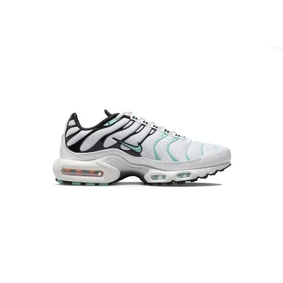 Nike Air Max Plus atmos White Hyper Jade 604133-148 02