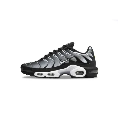 【FLASH SALE】Nike Air Max Plus Black Metallic Silver DM0032-003  01