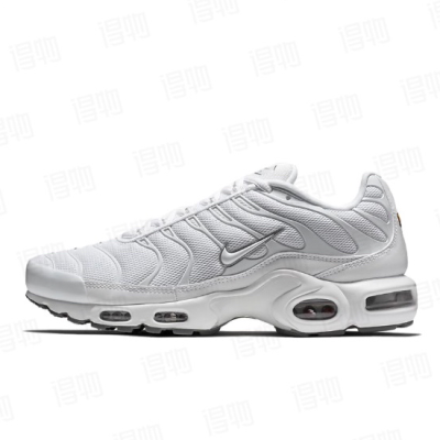 Nike Air Max Plus White 604133-139  01