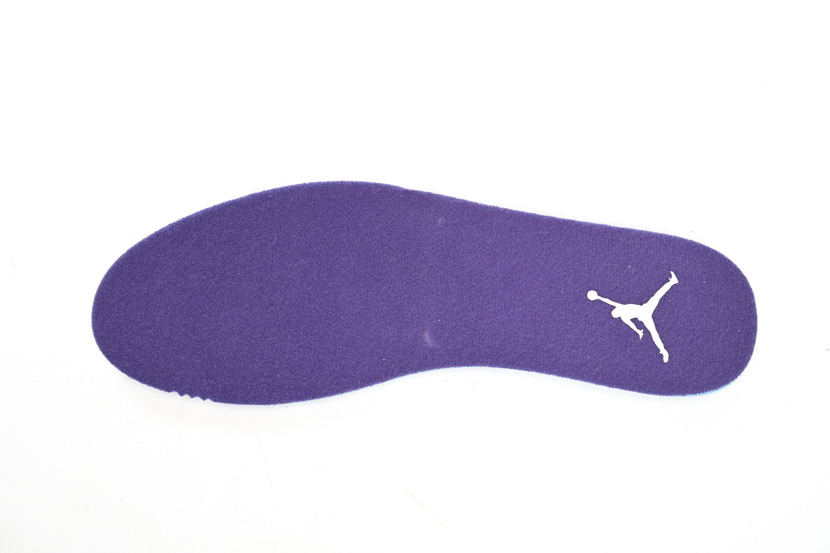 Top Version Air Jordan 12 PAICU CT8013-150