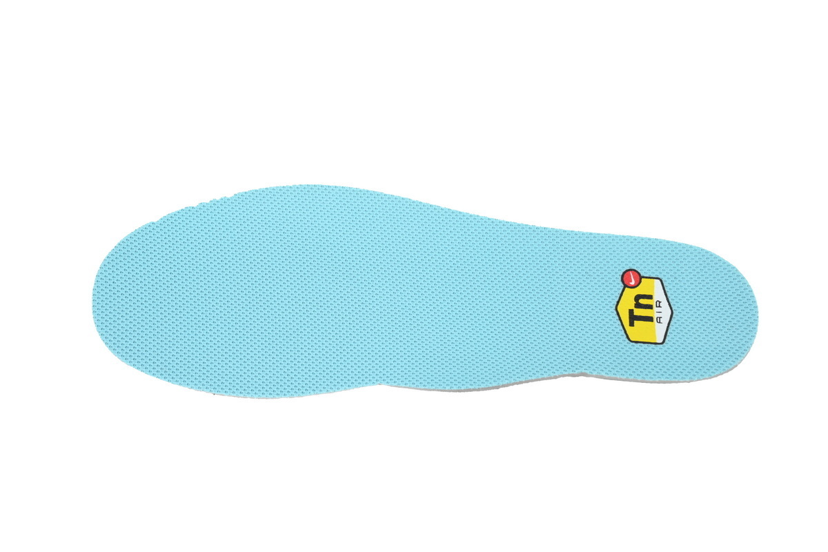 Nike Air Max Plus Black Dusty Cactus DM0032-016