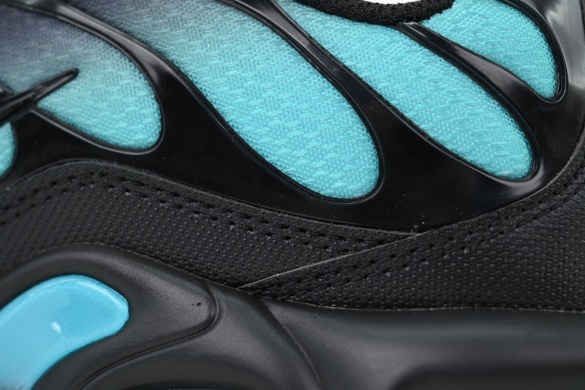 Nike Air Max Plus Black Dusty Cactus DM0032-016