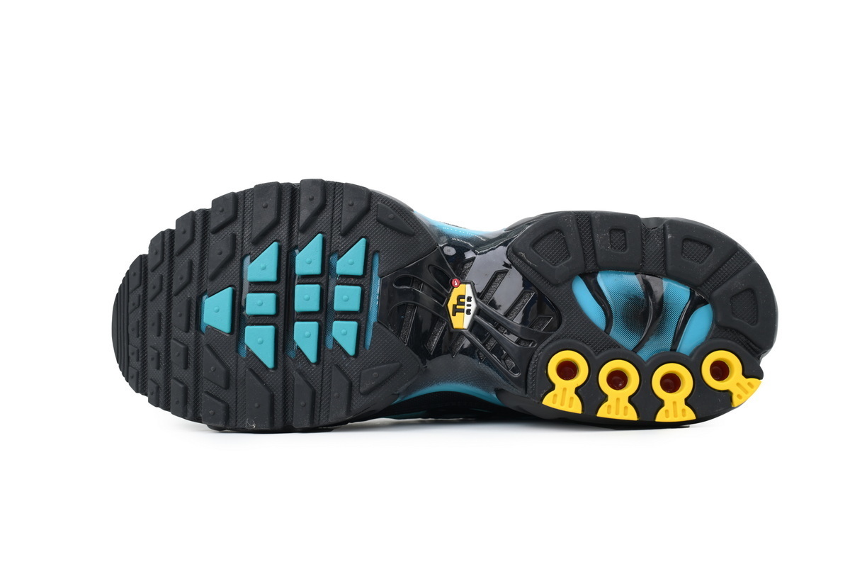 Nike Air Max Plus Black Dusty Cactus DM0032-016