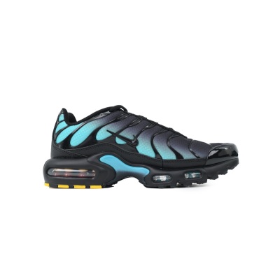 Nike Air Max Plus Black Dusty Cactus DM0032-016 02