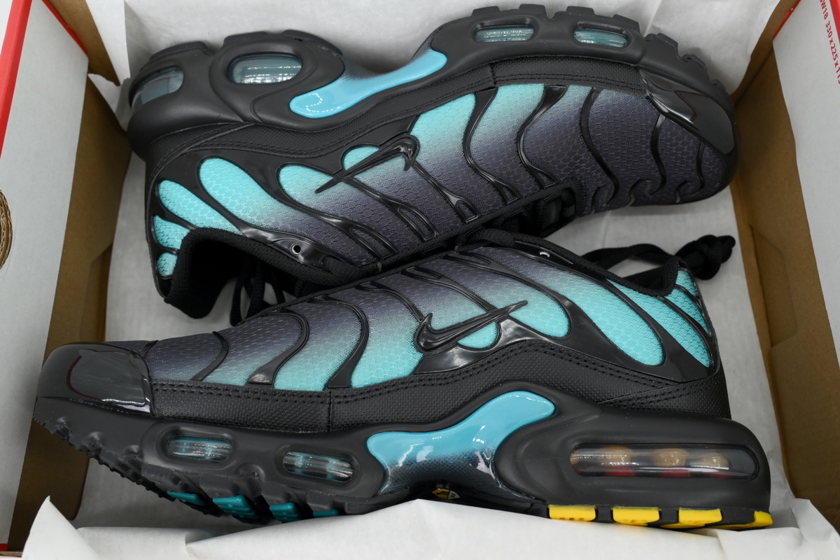 Nike Air Max Plus Black Dusty Cactus DM0032-016