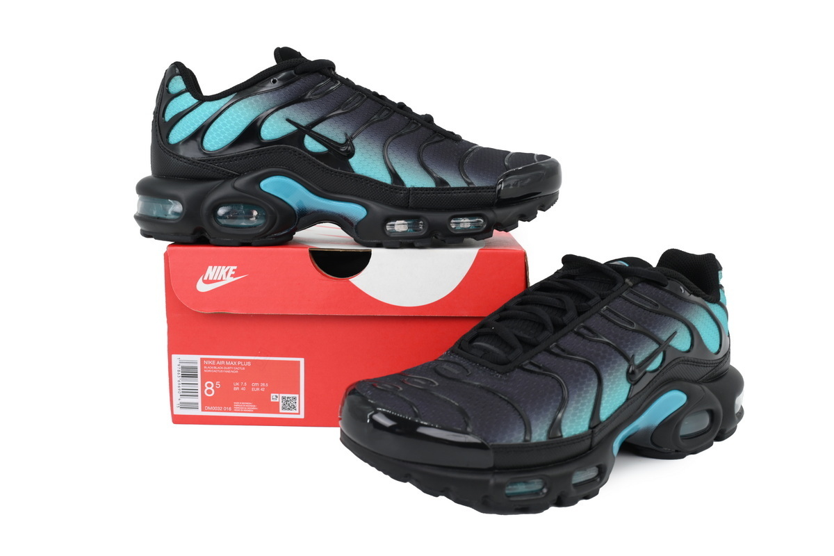 Nike Air Max Plus Black Dusty Cactus DM0032-016