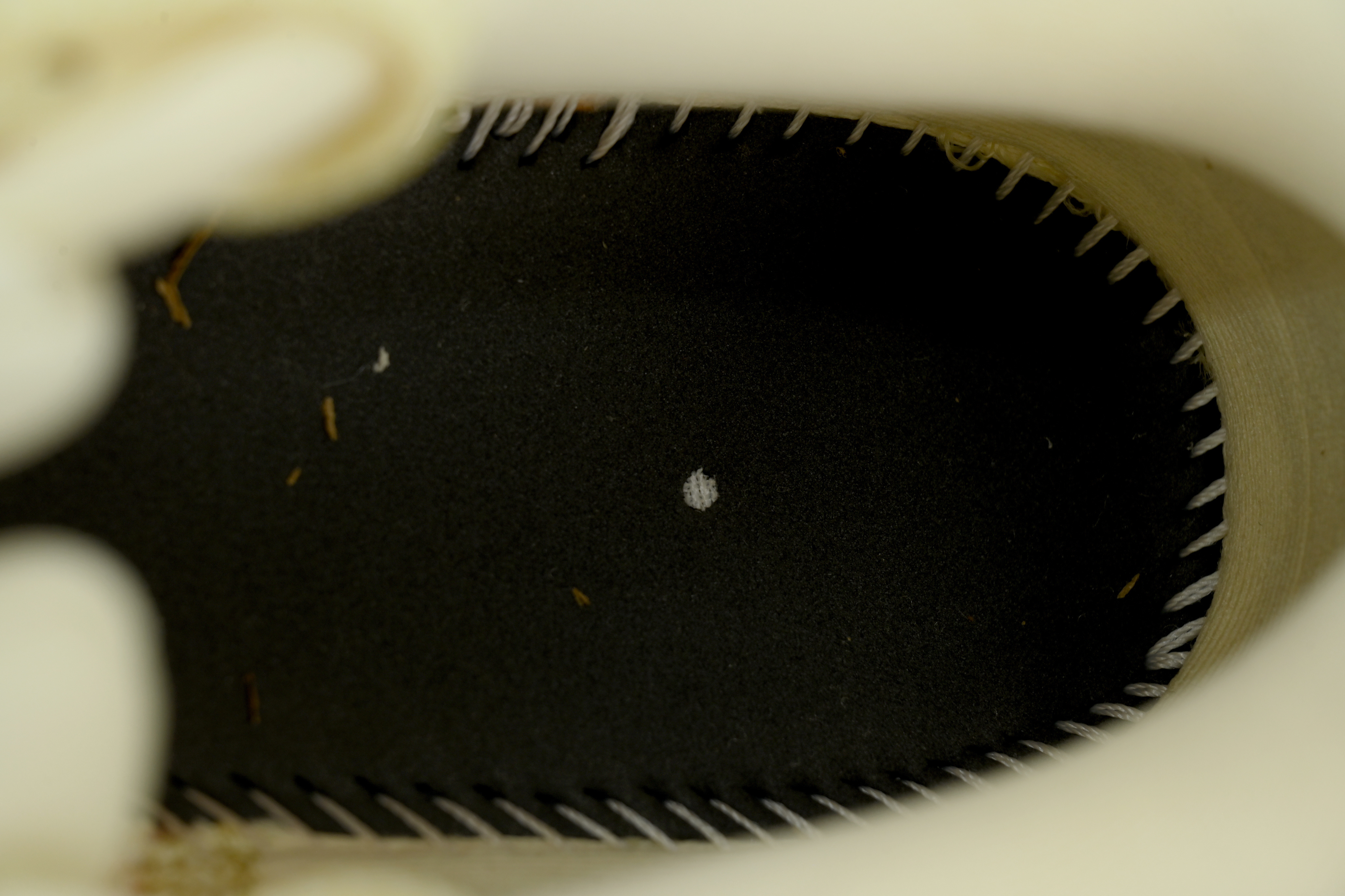 Nike Zoom Vomero 19 Orange Blue HQ2050-401