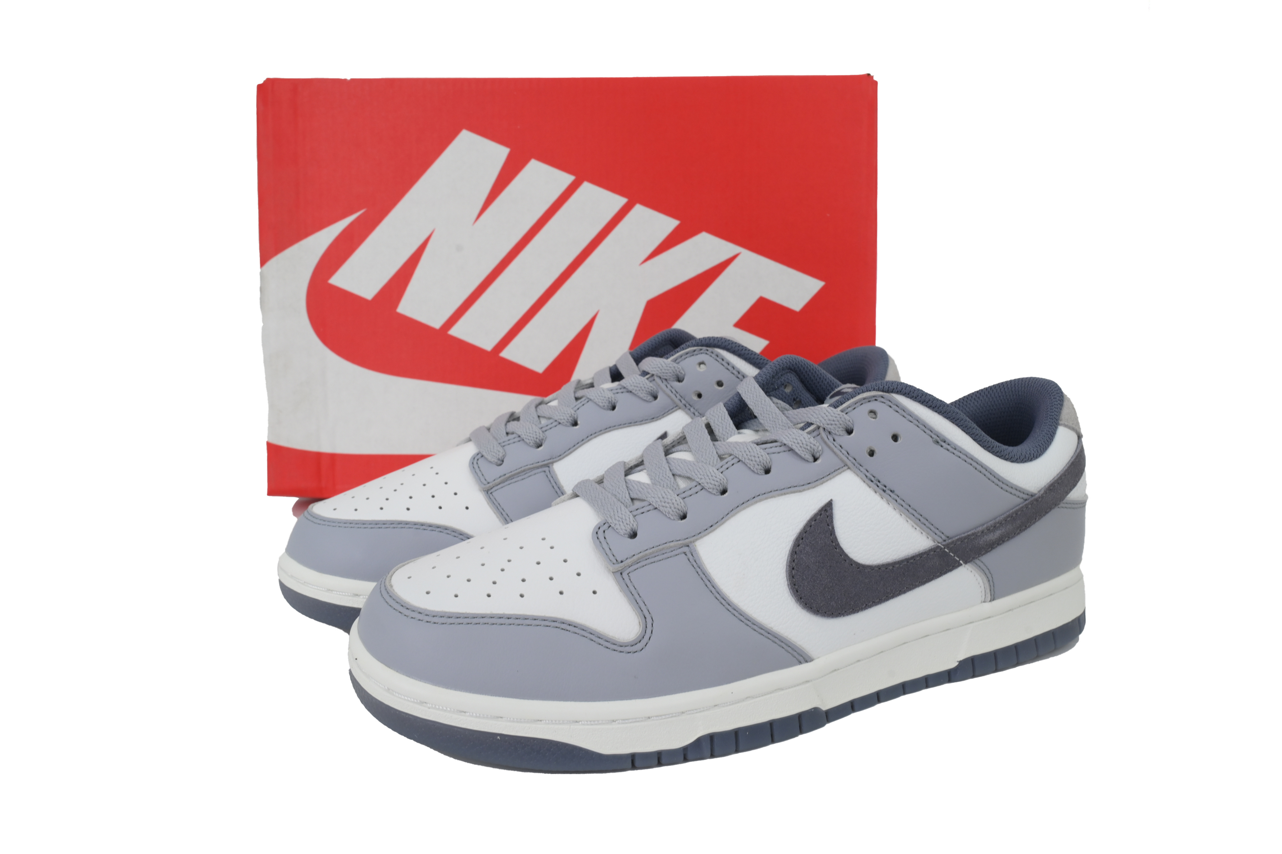 Nike Dunk Low SE Light Carbon FJ4188-100