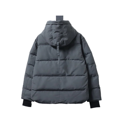 Canada Goose 17 Black Label Model Down Jacket Gray 02
