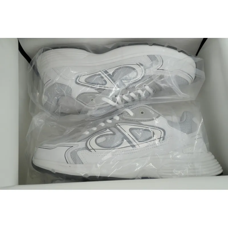 Dior B30 Countdown Sneaker Gray White