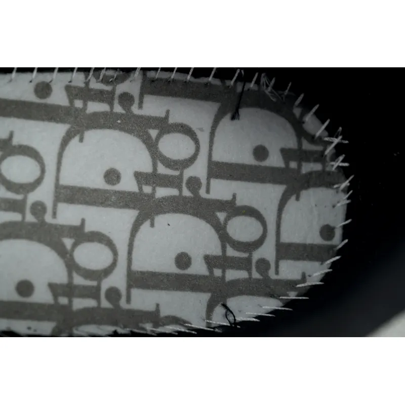 Dior B30 Light Gray Silver 3SN279ZEH_H968