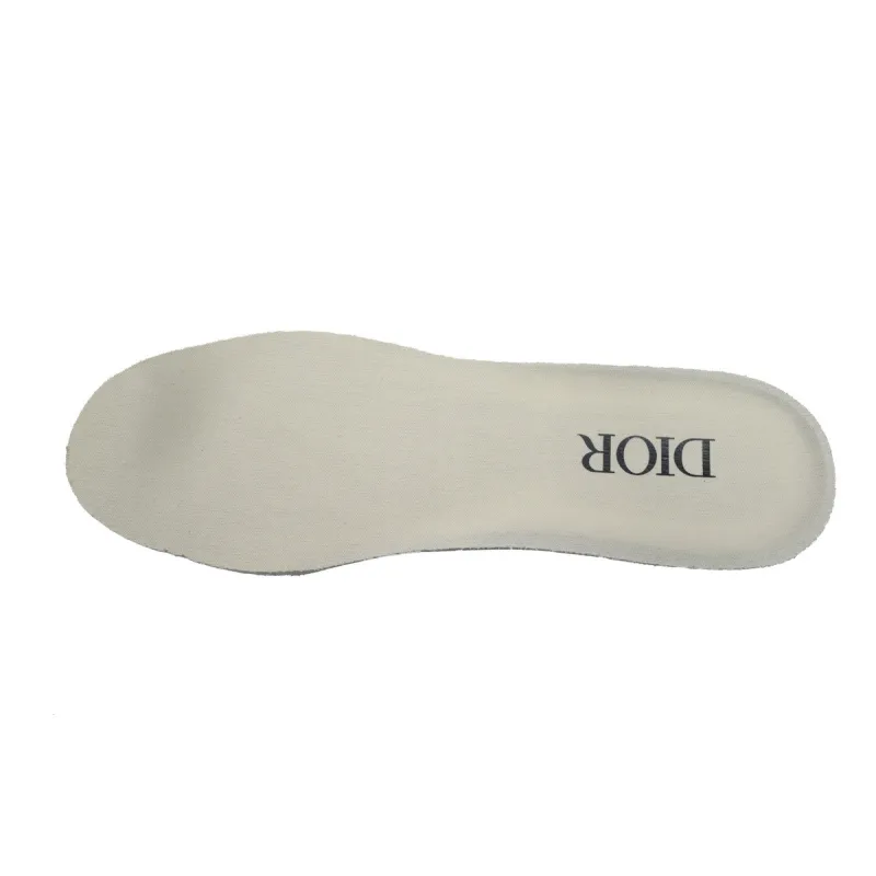 Dior B30 Reflective CD30 Cream Green 3SN279ZRD_H166