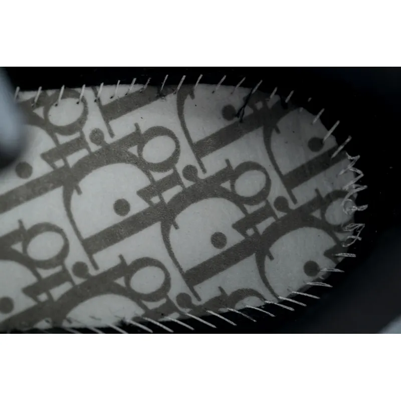 Dior B30 Round Head Logo Sneakers Patent Leather Gray