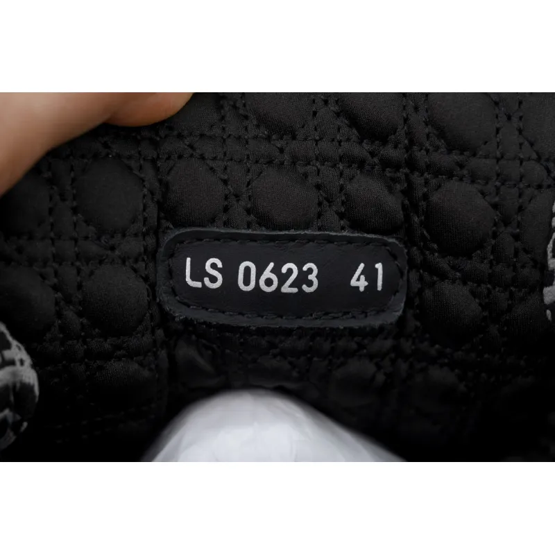 Dior B9S Skater Sneaker Black Quilted Cannage Calfskin