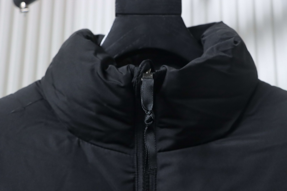 The North Face 1992 Armband 30th Anniversary Limited Edition Down Jacket Black