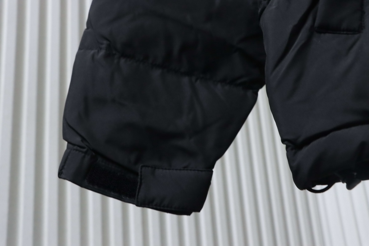 The North Face 1992 Armband 30th Anniversary Limited Edition Down Jacket Black