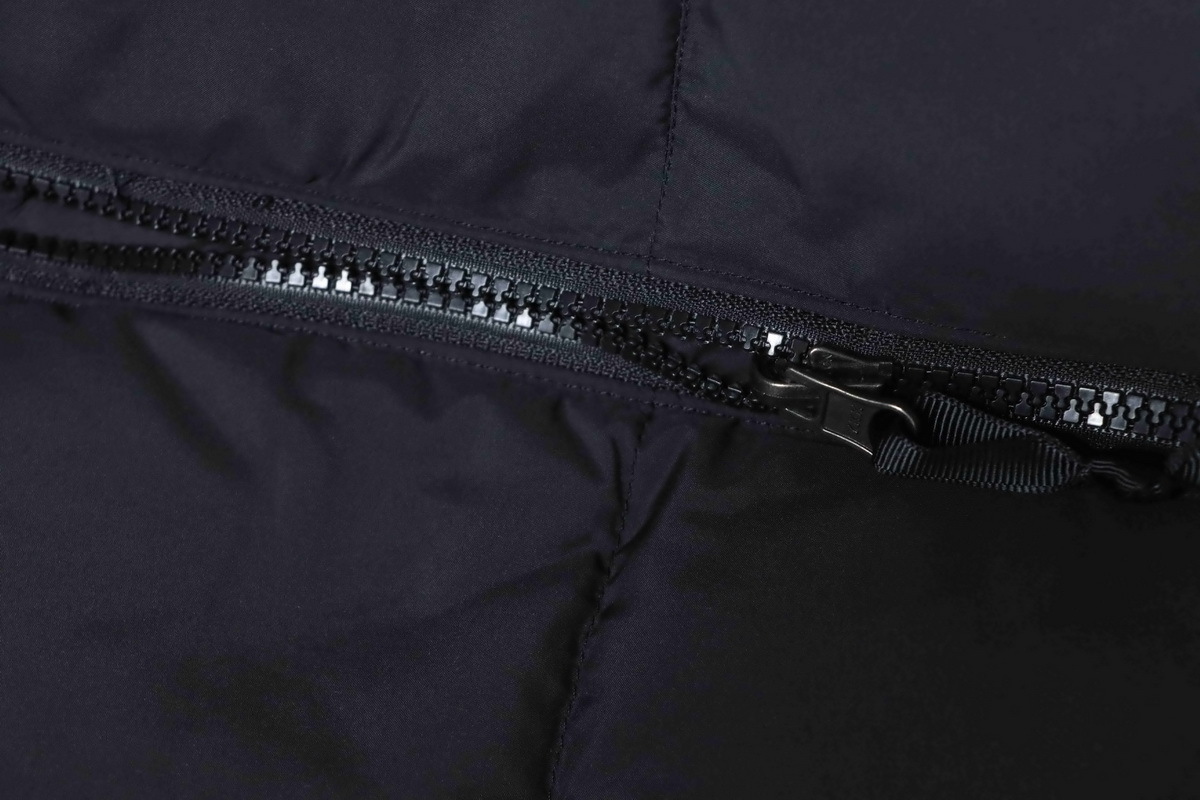 The North Face 1992 Armband 30th Anniversary Limited Edition Down Jacket Black