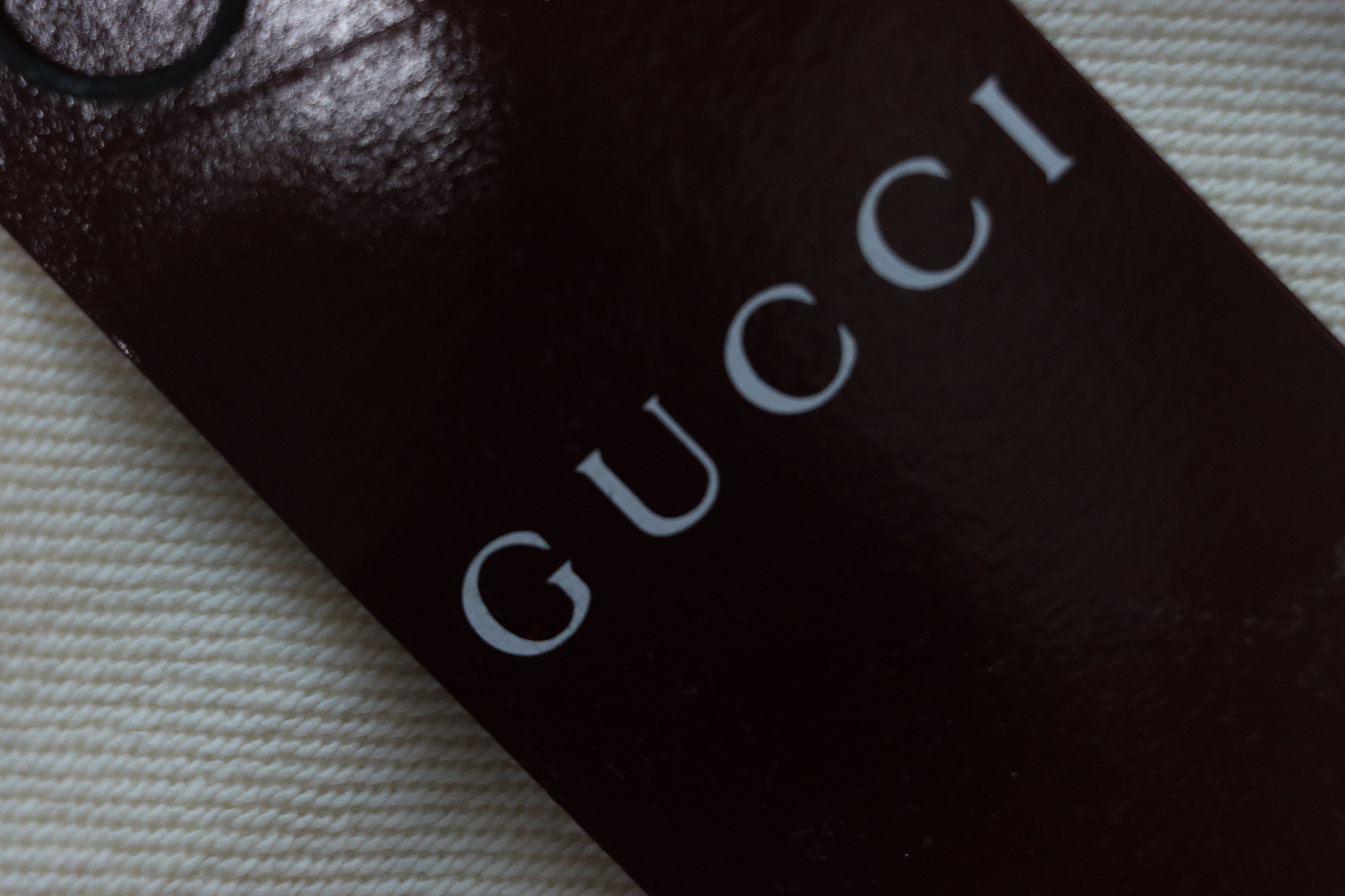 Gucci 25Fw Signature Logo Embroidered Hoodie White/Black