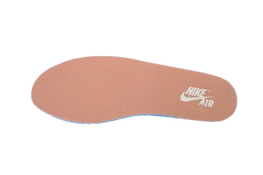  Air Jordan 1 Retro High OG Light Madder Root FD2596-200 