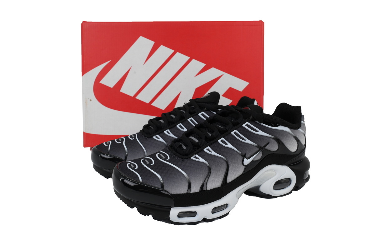 Nike Air Max Plus Black Metallic Silver DM0032-003 