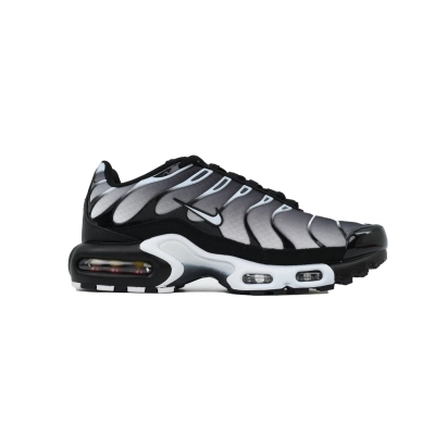 Nike Air Max Plus Black Metallic Silver DM0032-003  02