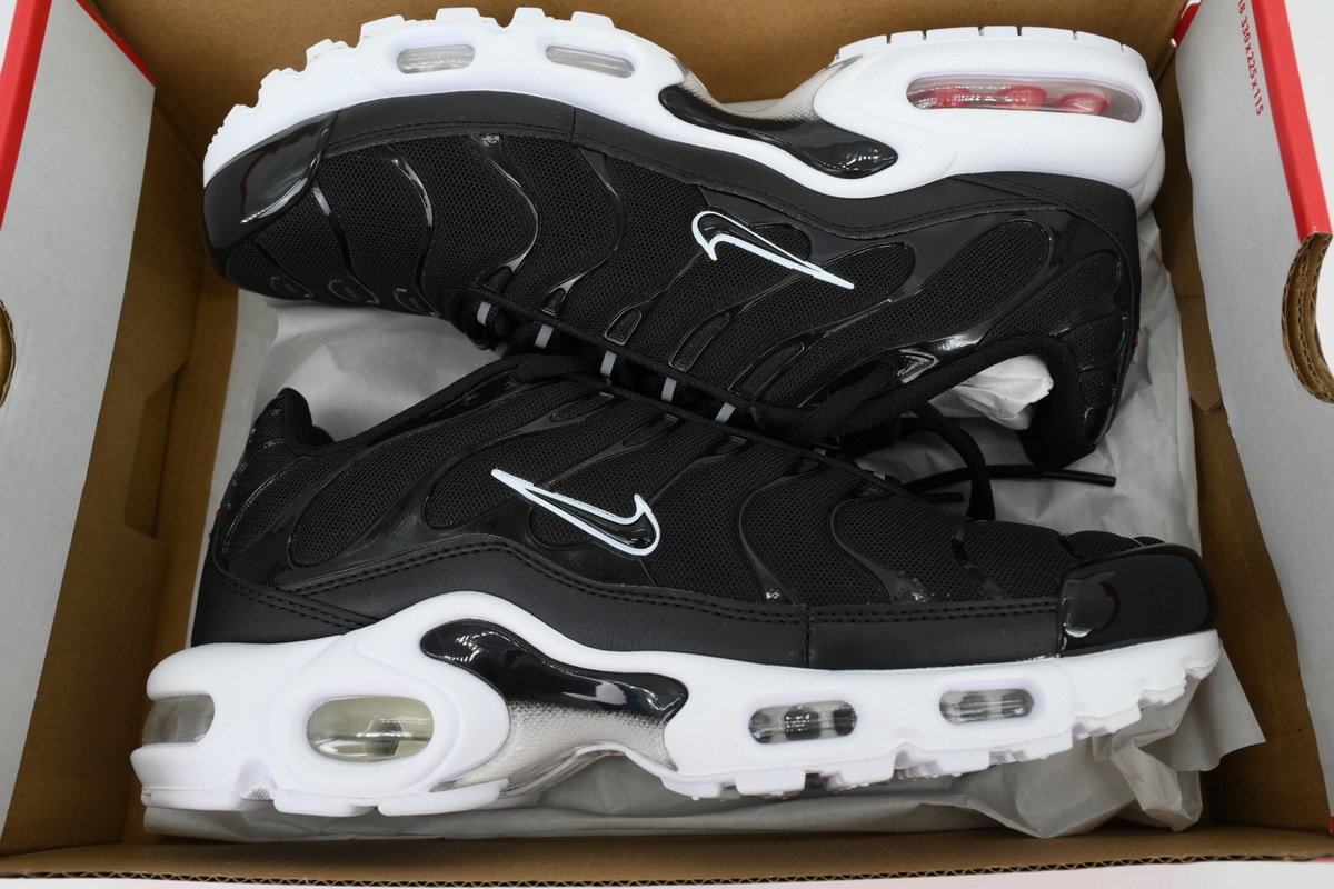 Nike Air Max Plus Black White DM2362-001 