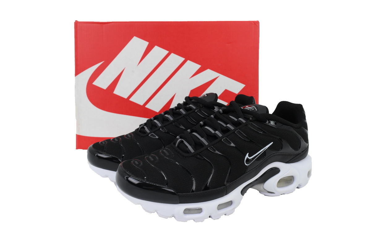 Nike Air Max Plus Black White DM2362-001 