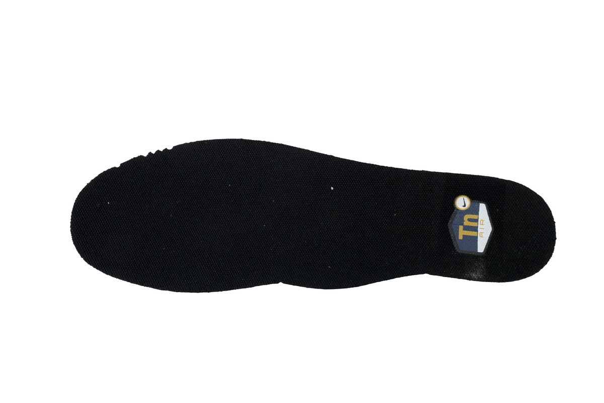 Nike Air Max Plus Dark Obsidian Monarch FN6949-400