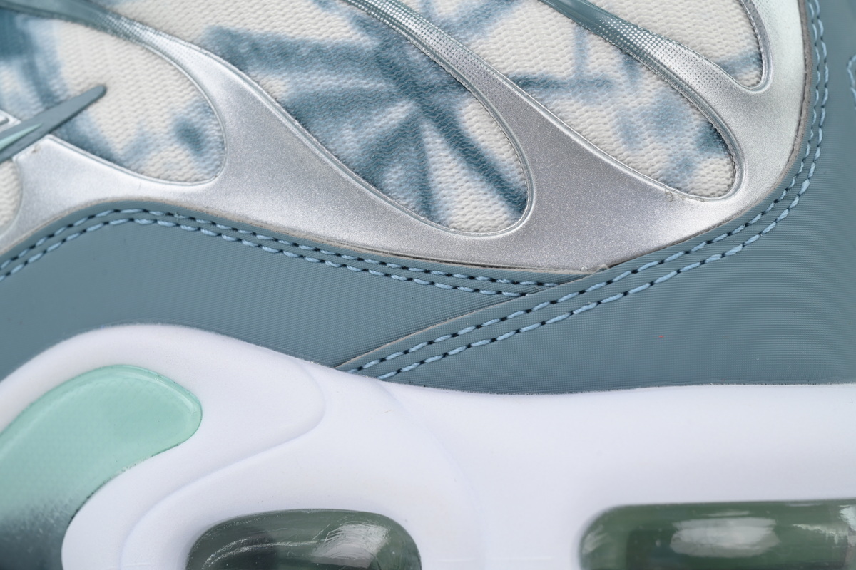 Nike Air Max Plus Palm Pack - Waterway FV0394-300 