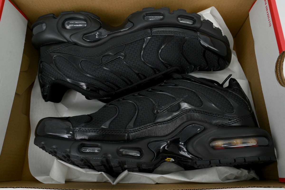 Nike Air Max Plus Triple Black 604133-050 