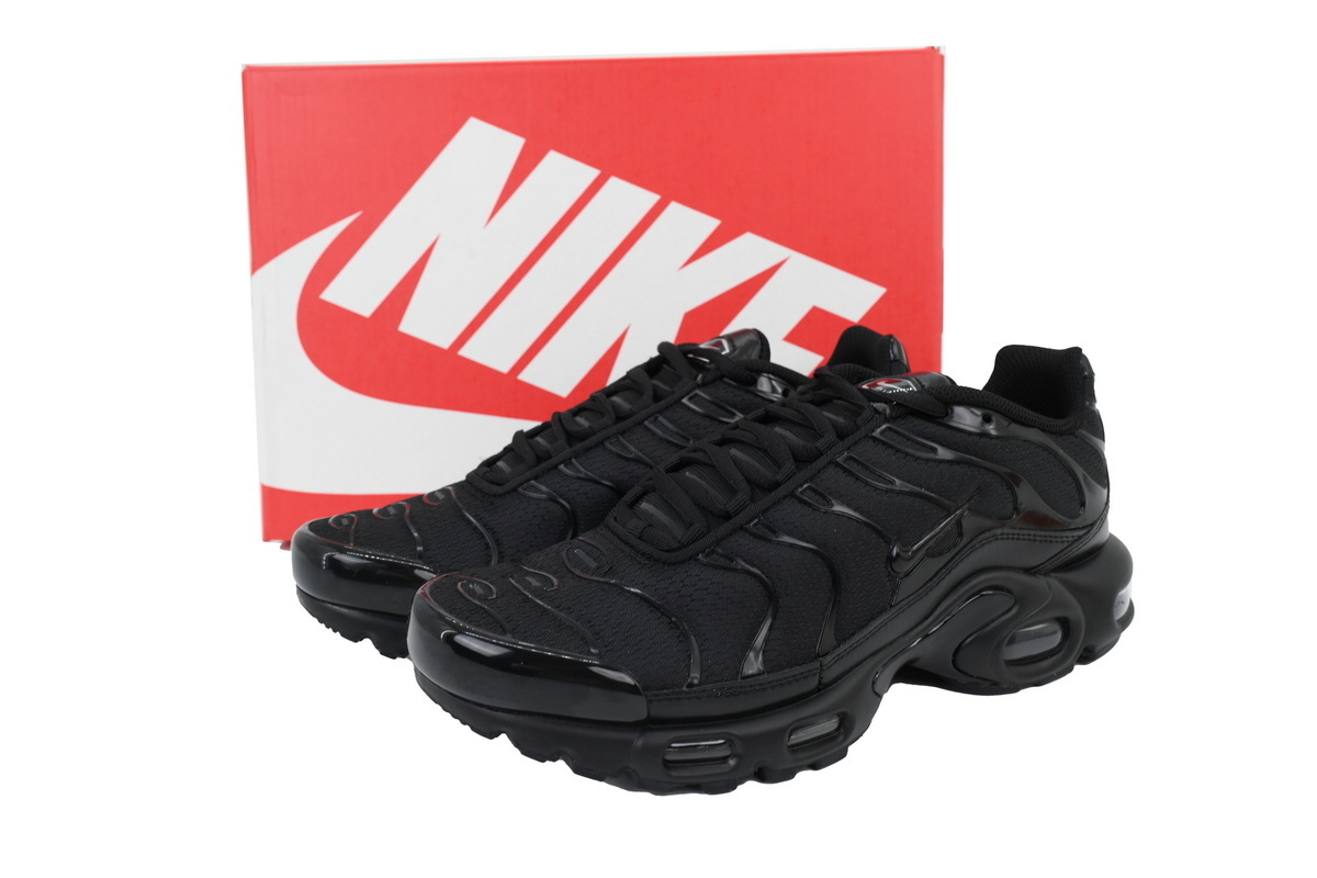 Nike Air Max Plus Triple Black 604133-050 