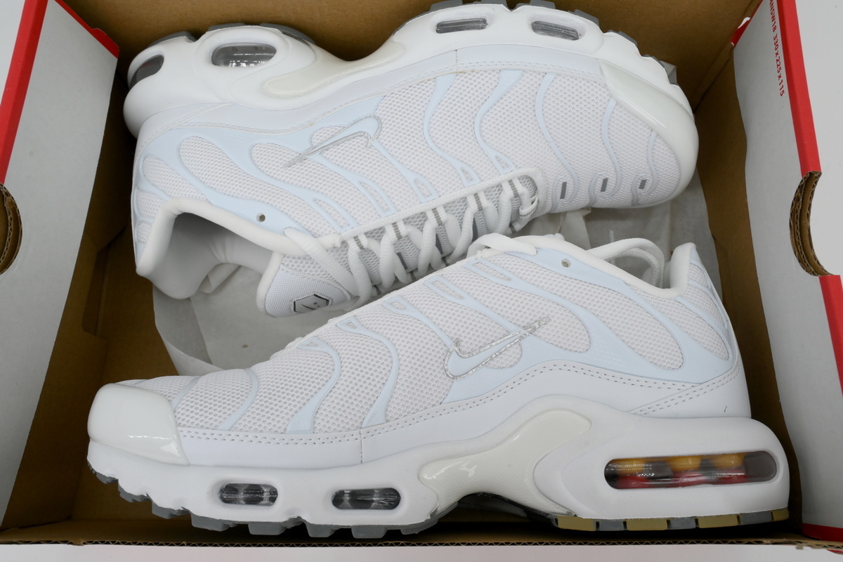 Nike Air Max Plus White 604133-139 