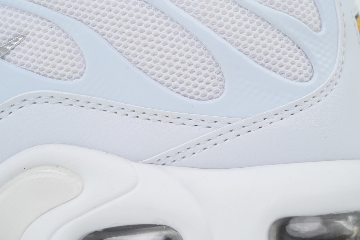 Nike Air Max Plus White 604133-139 