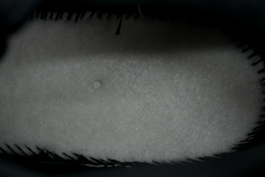 Nike SB x Air Max 95 Cactus Flower HF7545-100