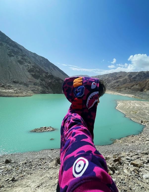 OBO  BAPE Color Camo Shark Zip Hoodie Purple