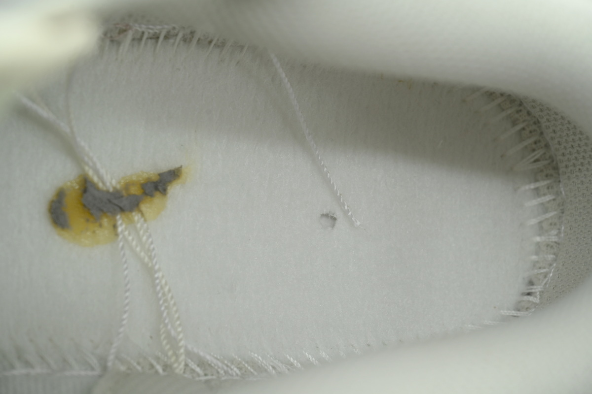 Top Version Nike Wmns Dunk Low Light Bone DD1503-107