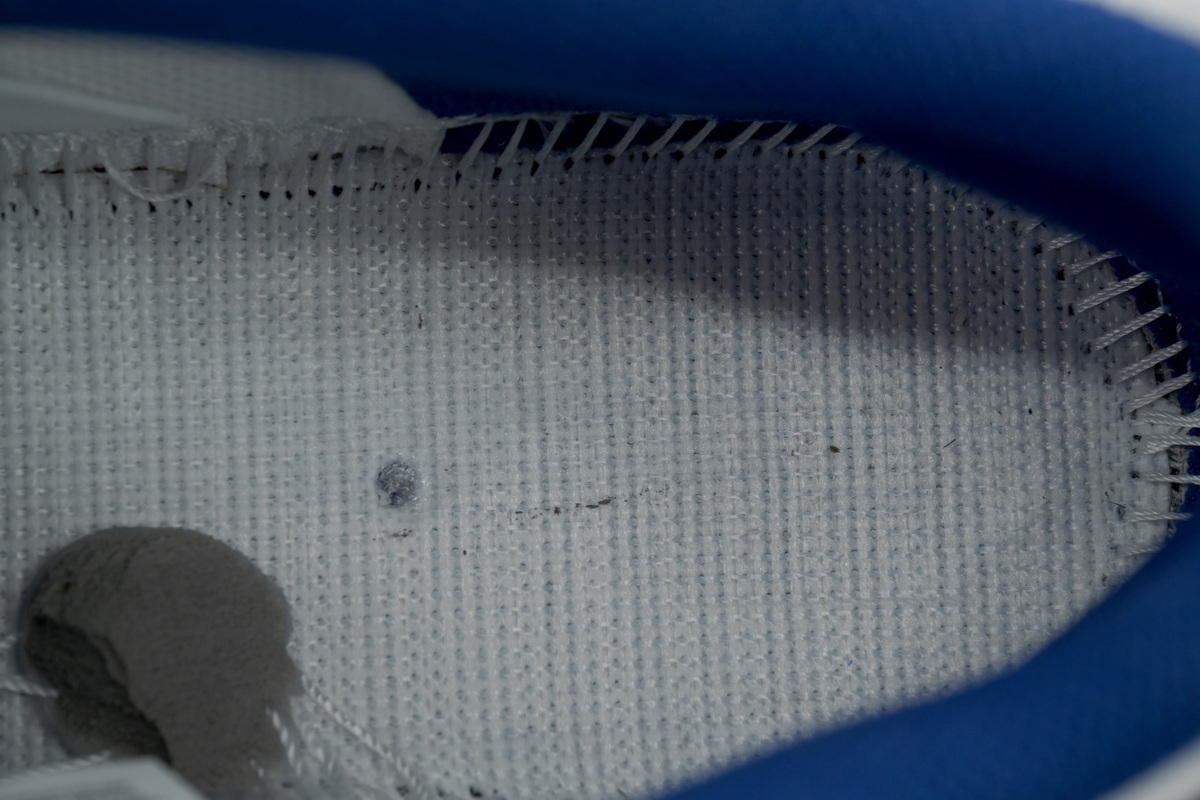 Top Version Rayssa Leal x Nike Dunk Low SB FZ5251-001