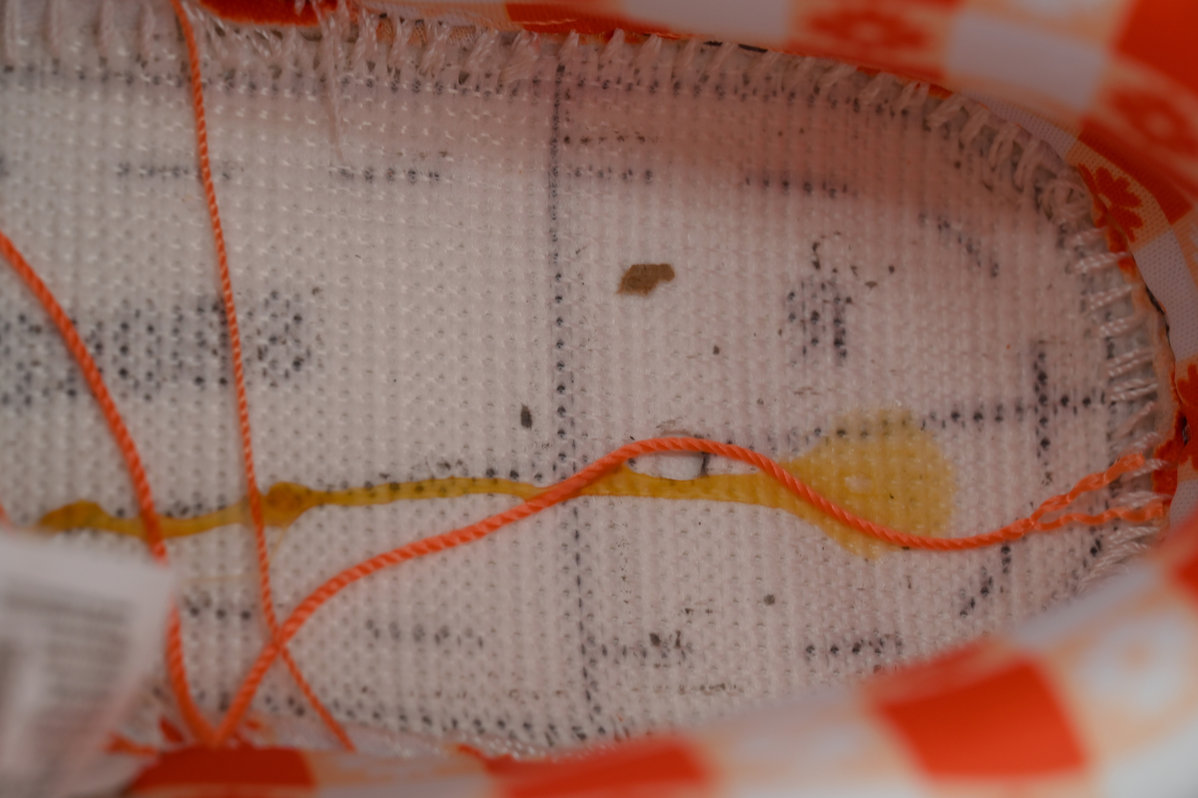 Top Version Concepts x Nike SB Dunk Low Orange Lobster FD8776-800