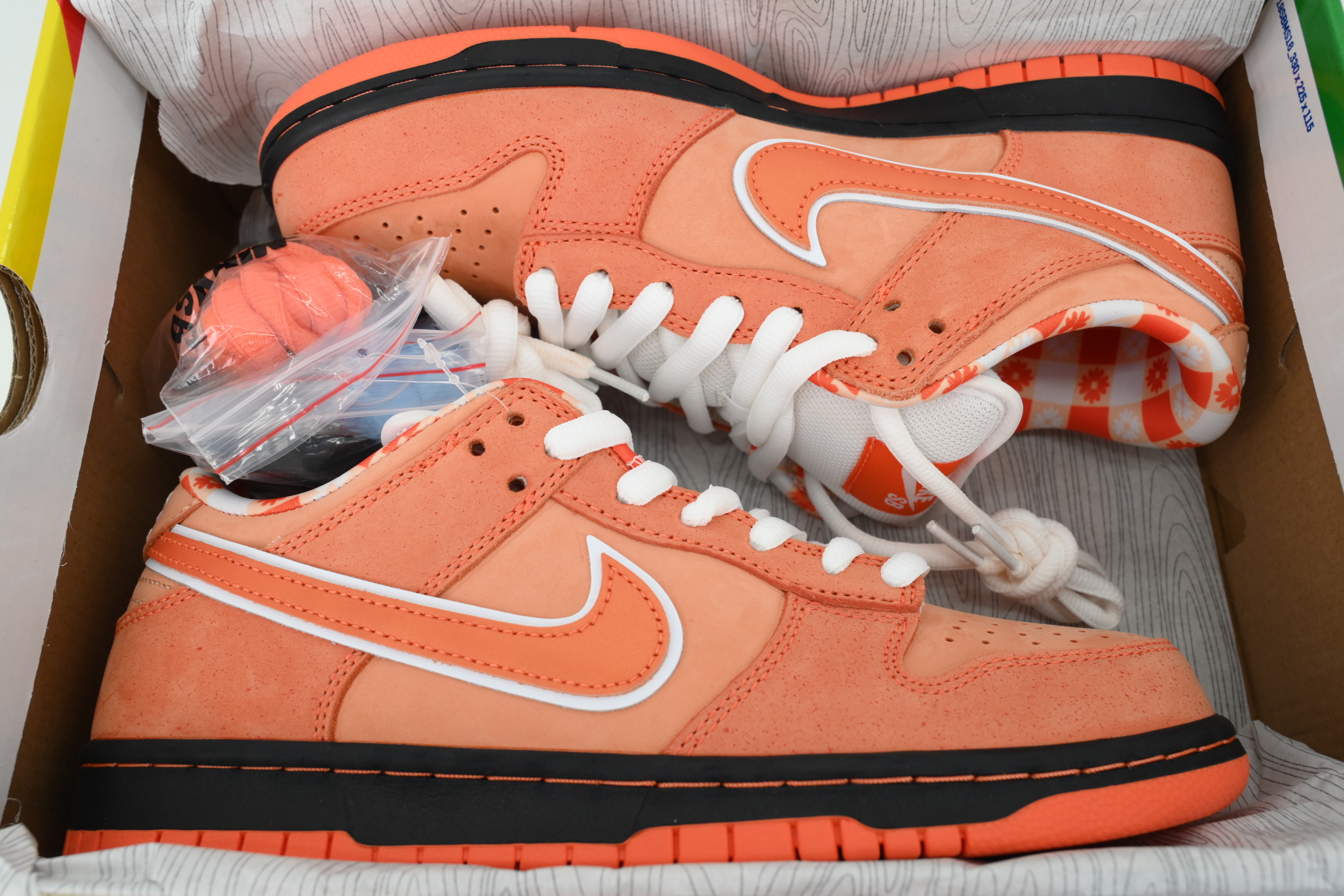 Top Version Concepts x Nike SB Dunk Low Orange Lobster FD8776-800