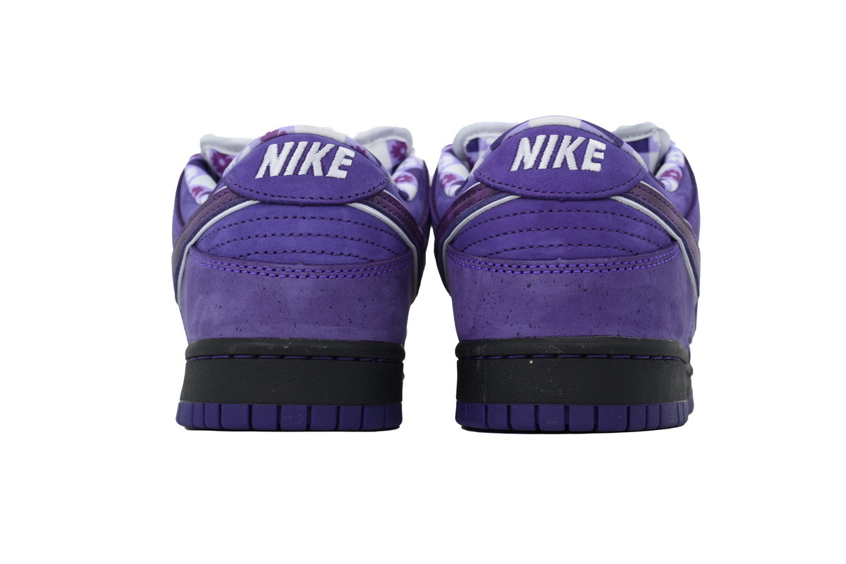 Top Version Nike Concepts x Dunk Low SB Purple Lobster BV1310-555