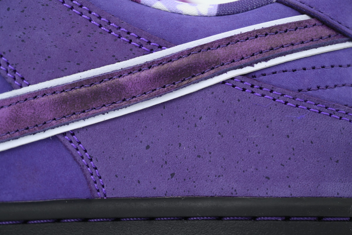 Top Version Nike Concepts x Dunk Low SB Purple Lobster BV1310-555